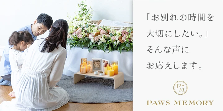 PAWS MEMORYイメージ画像