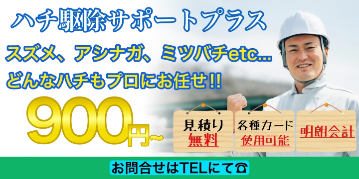 ハチ駆除サポートプラスイメージ画像