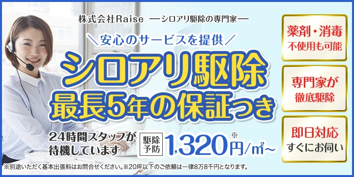 株式会社Raiseイメージ画像