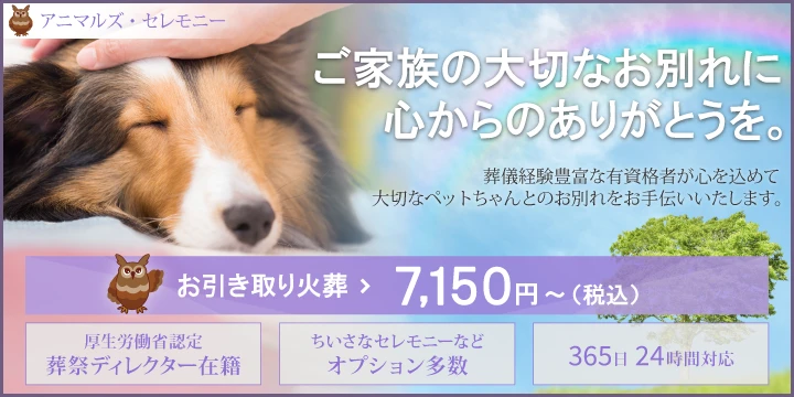 アニマルズ・セレモニー