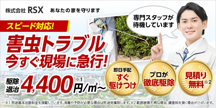 株式会社RSXイメージ画像