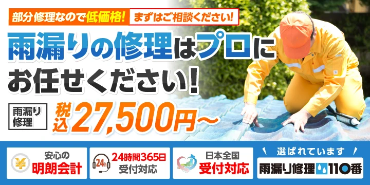 雨漏り修理110番イメージ画像