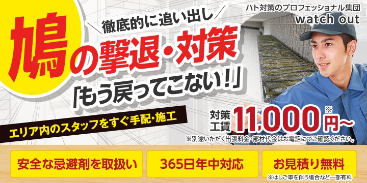 watch outイメージ画像