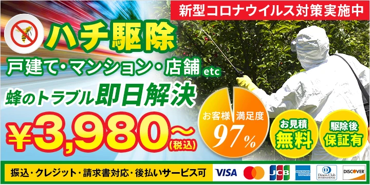 ハチの鉄人イメージ画像