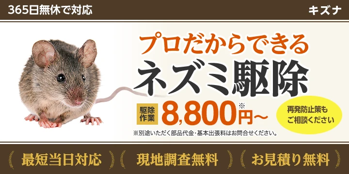 キズナ