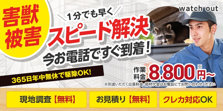 watch outイメージ画像