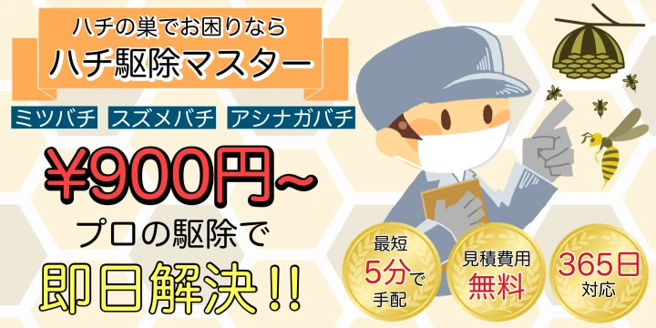 ハチ駆除マスターイメージ画像