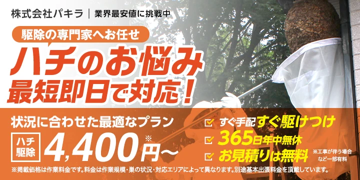 株式会社パキライメージ画像