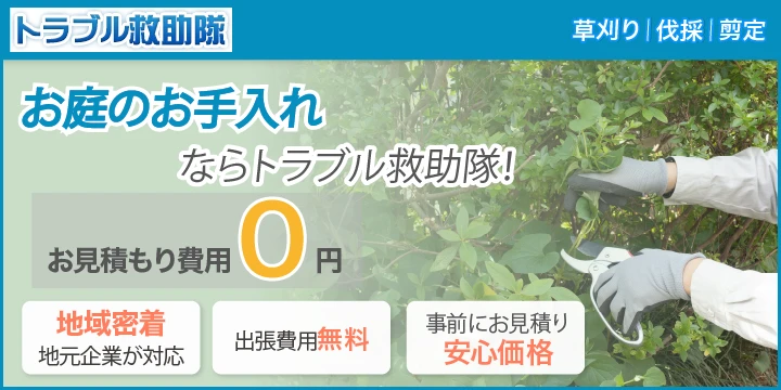 トラブル救助隊