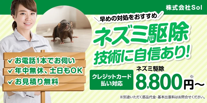 株式会社Solイメージ画像