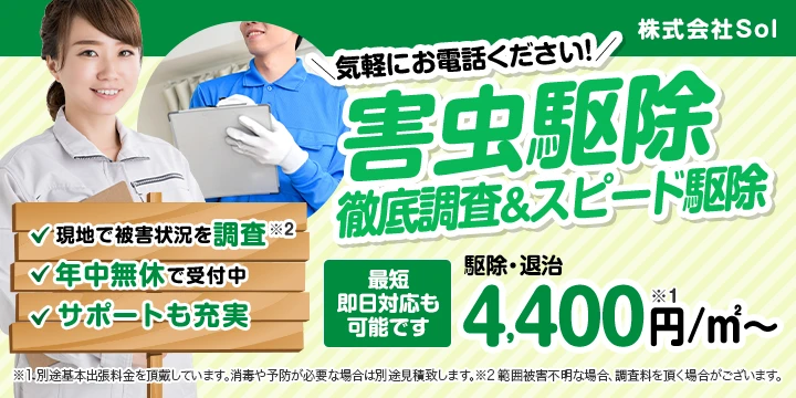 株式会社Solイメージ画像