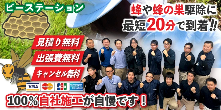 ビーステーションイメージ画像