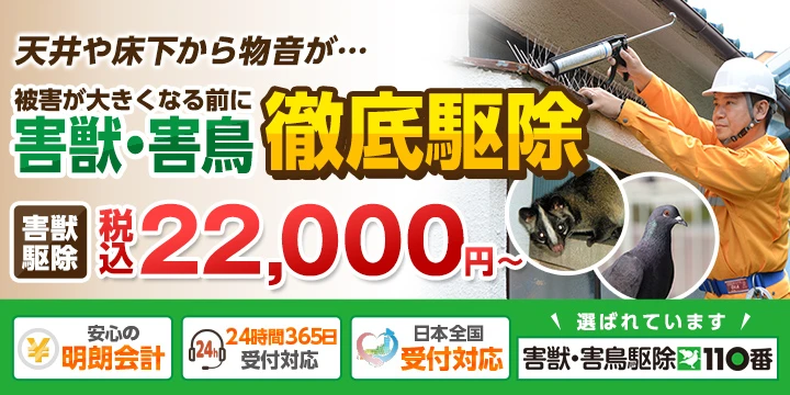 害獣・害鳥駆除110番
