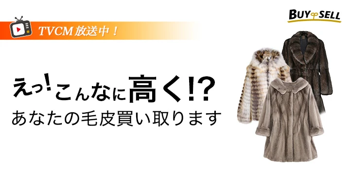 バイセルイメージ画像
