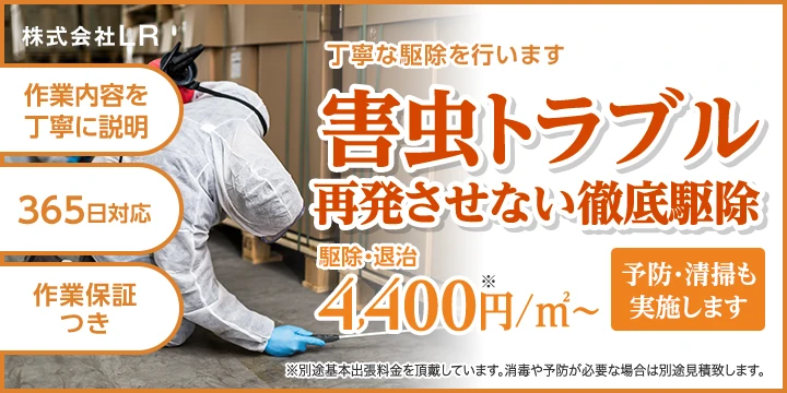 株式会社LRイメージ画像