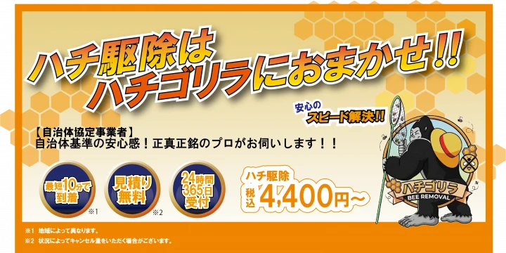 ハチゴリライメージ画像