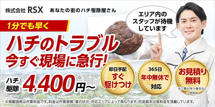 株式会社RSXイメージ画像