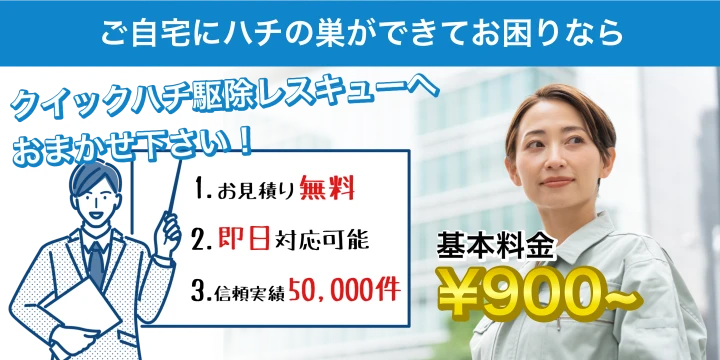 クイックハチ駆除レスキューイメージ画像