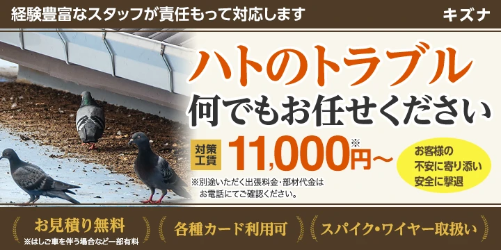 キズナイメージ画像