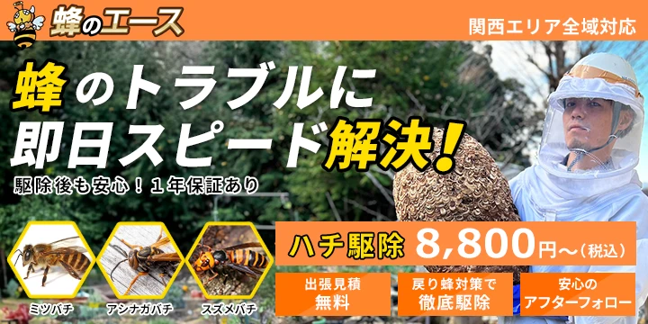 蜂のエースイメージ画像