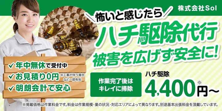 株式会社Solイメージ画像