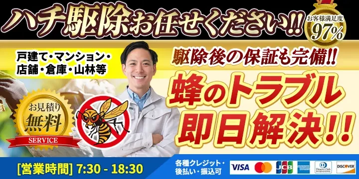 ハチの匠イメージ画像