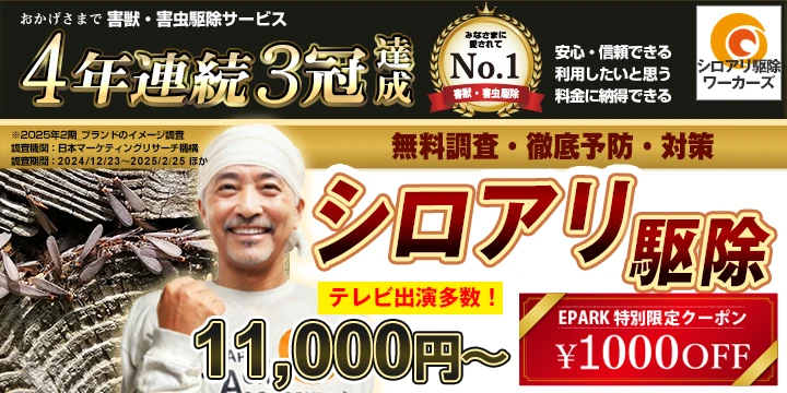 シロアリ駆除ワーカーズイメージ画像