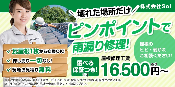 株式会社Sol
