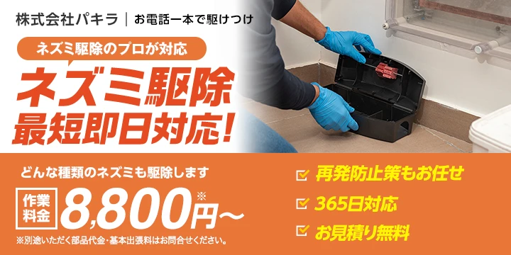 株式会社パキライメージ画像