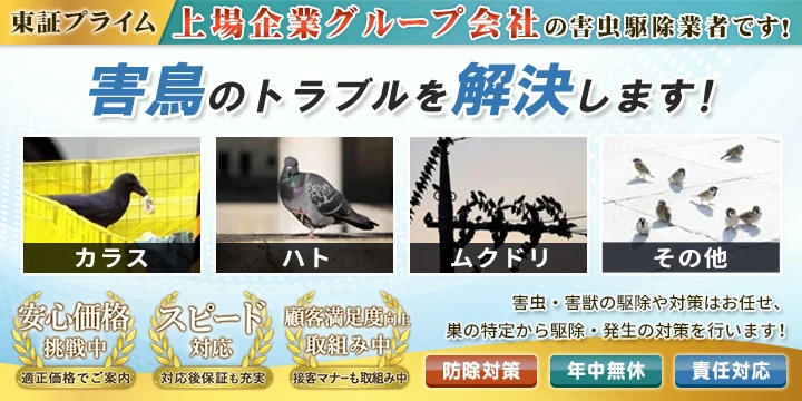 サポート99イメージ画像