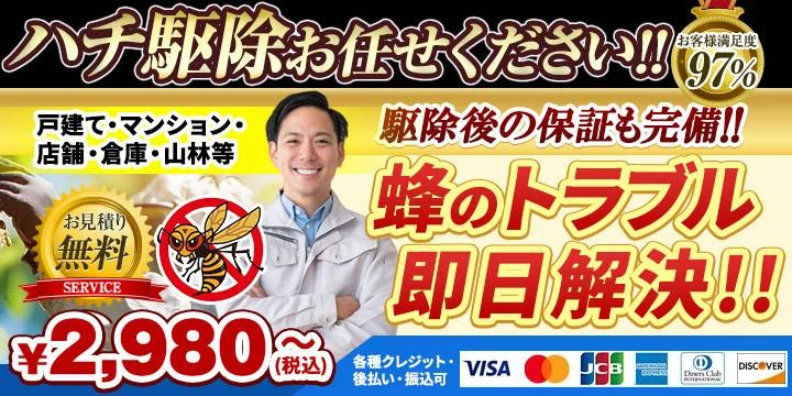 ハチの鉄人イメージ画像