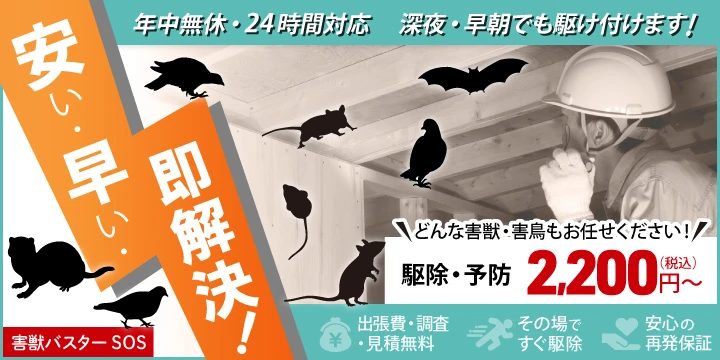害獣バスターSOSイメージ画像