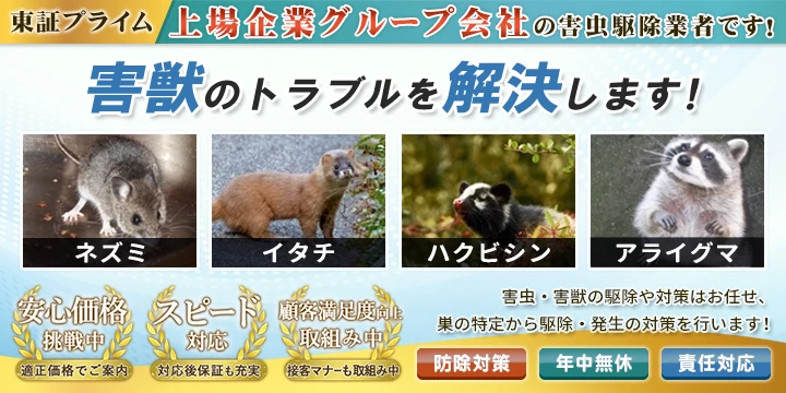 サポート99イメージ画像