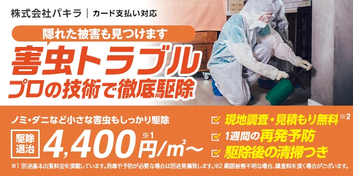 株式会社パキライメージ画像