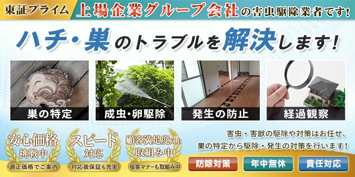 サポート99イメージ画像