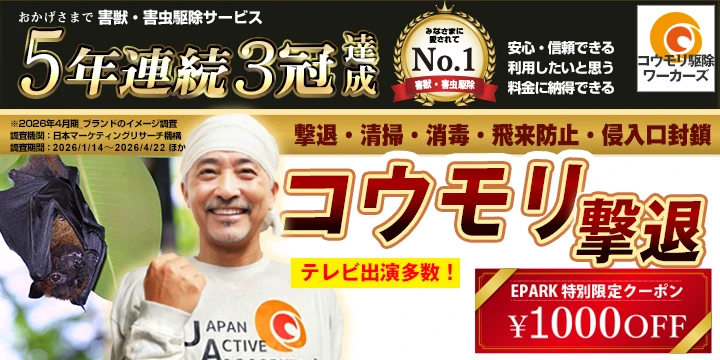 コウモリ駆除ワーカーズイメージ画像