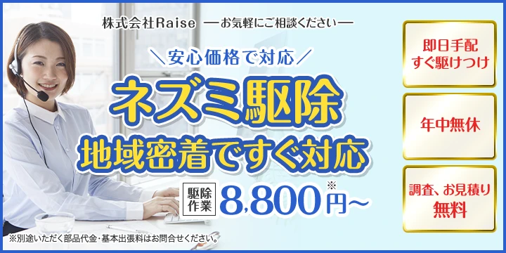 株式会社Raiseイメージ画像