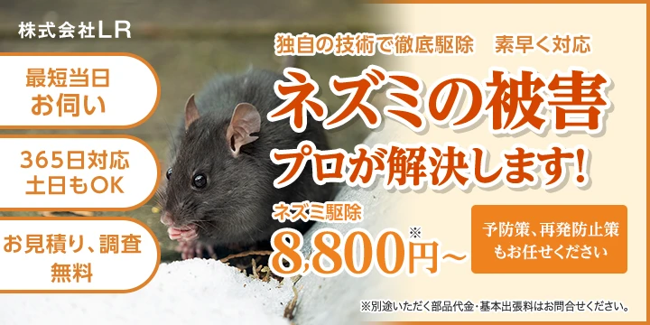 株式会社LRイメージ画像