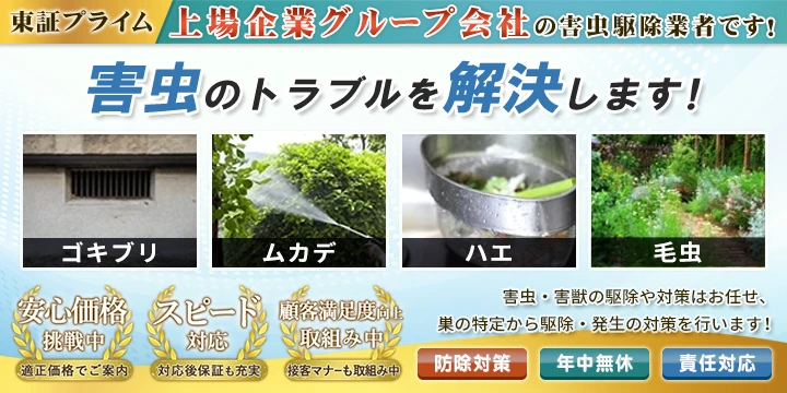 サポート99イメージ画像