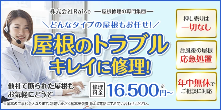 株式会社Raise