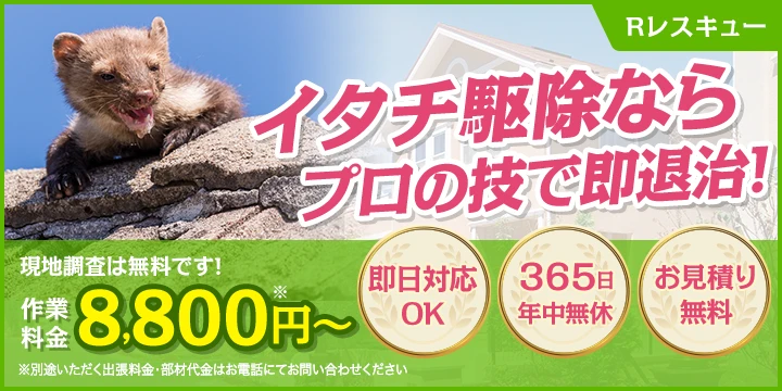 Rレスキュー
