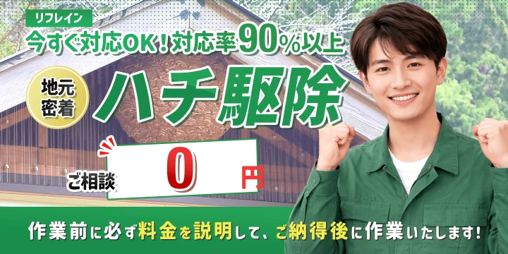 リフレインイメージ画像