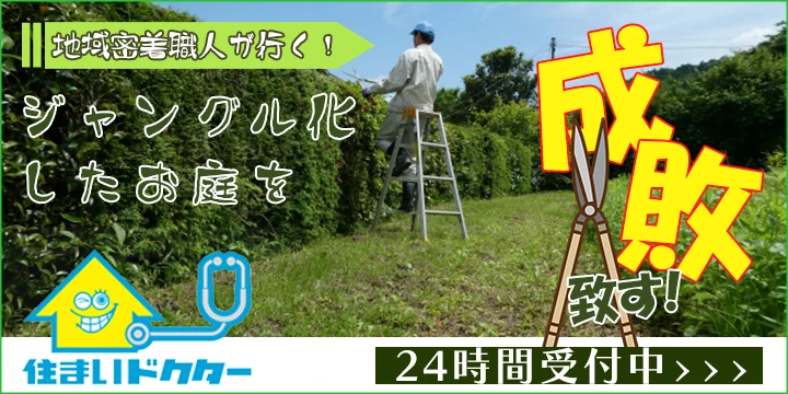 ueki_banner