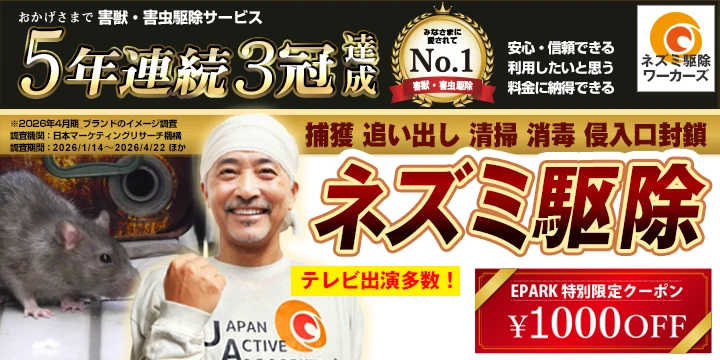 ネズミ駆除ワーカーズイメージ画像