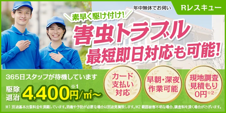 Rレスキューイメージ画像