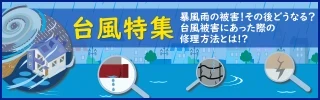 台風特集へ遷移するバナーリンク