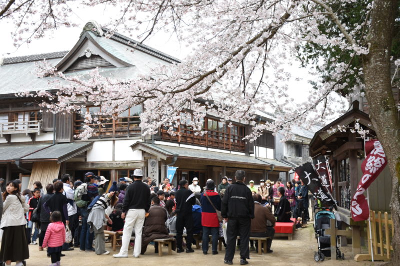 Doramu no Sato Sakura Festival