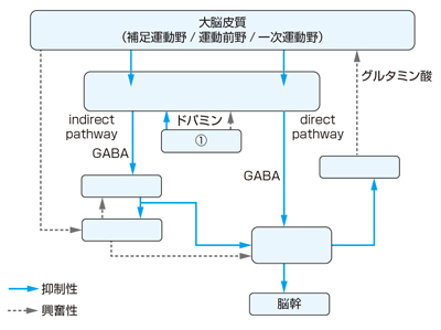 18403620 | 小脳・大脳基底核 CBT | M3E Medical 18403620 | 小脳・大脳基底核 CBT | M3E Medical