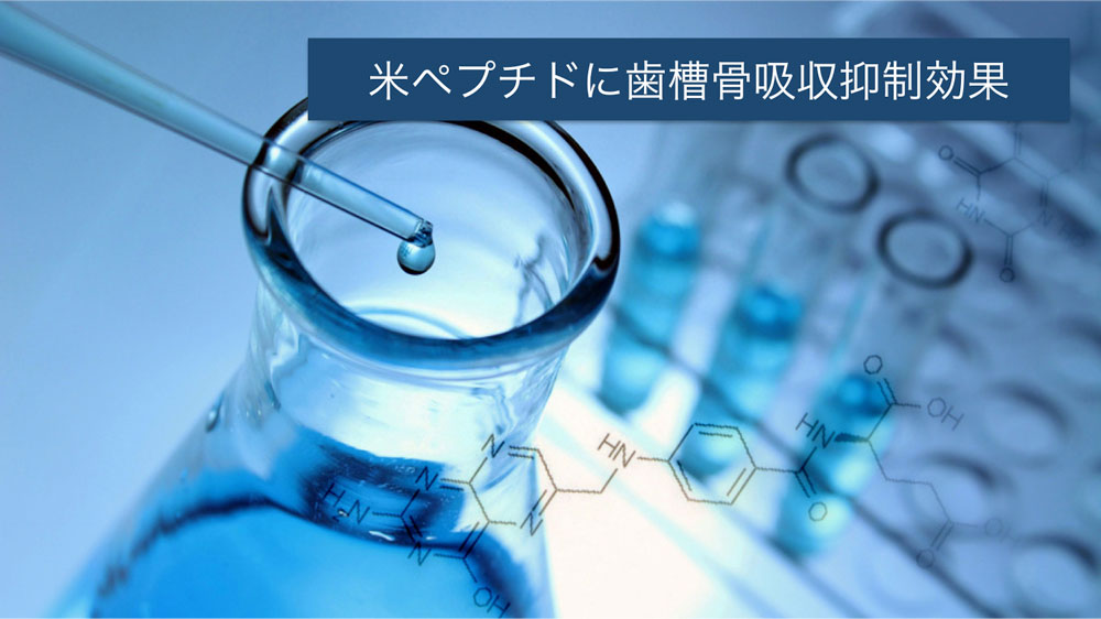 米由来の成分で歯槽骨吸収の抑制に成功 新潟大の画像です