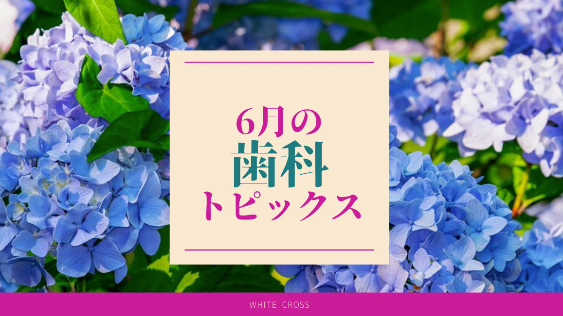 【まとめ読み】6月の歯科トピックスの画像です